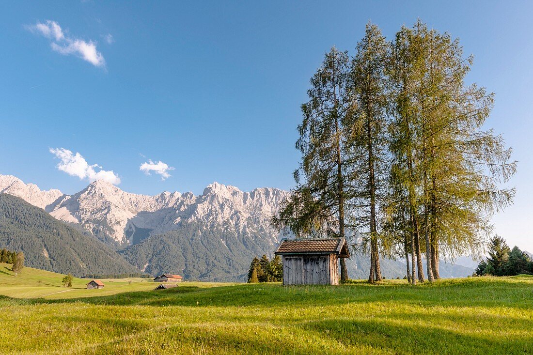 Wiese vor dem Karwendelgebirge, Oberbayern