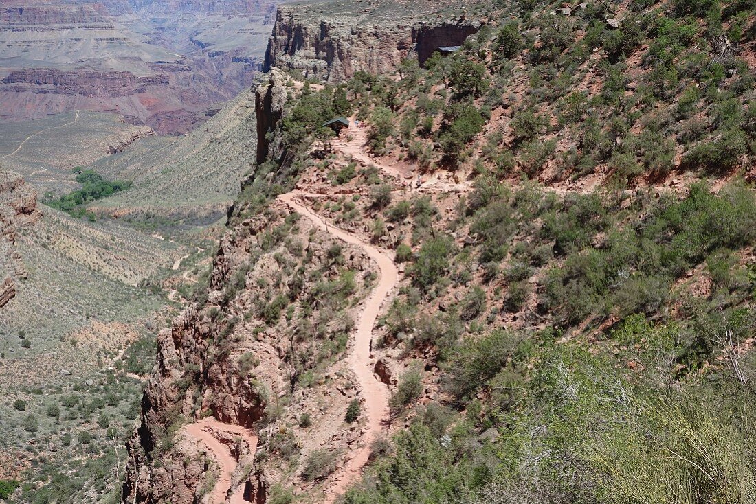 Blick auf Pfad in Grand Canyon (Arizona, USA)