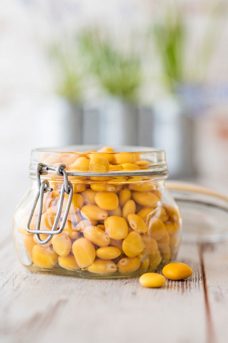 A jar of sweet lupine beans