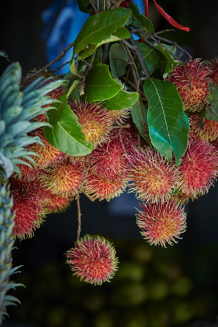 Rambutans from Sri Lanka