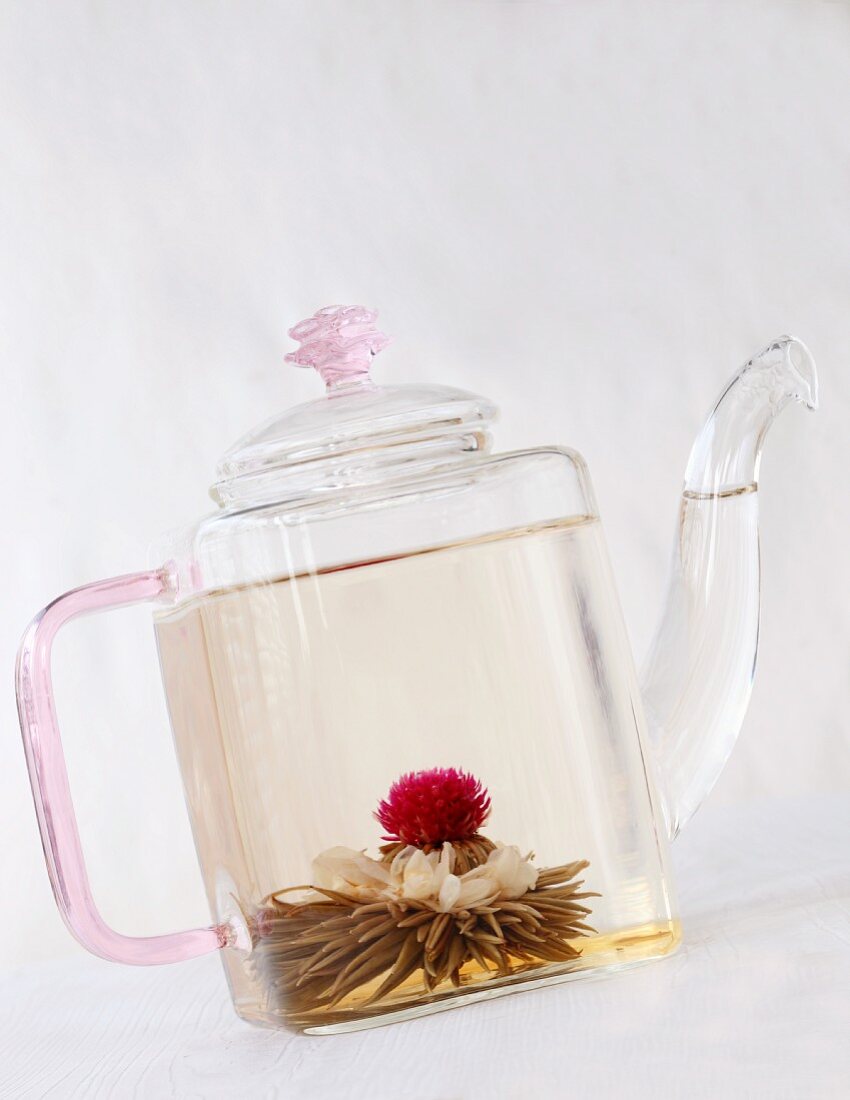Teeblume in einer Glasteekanne