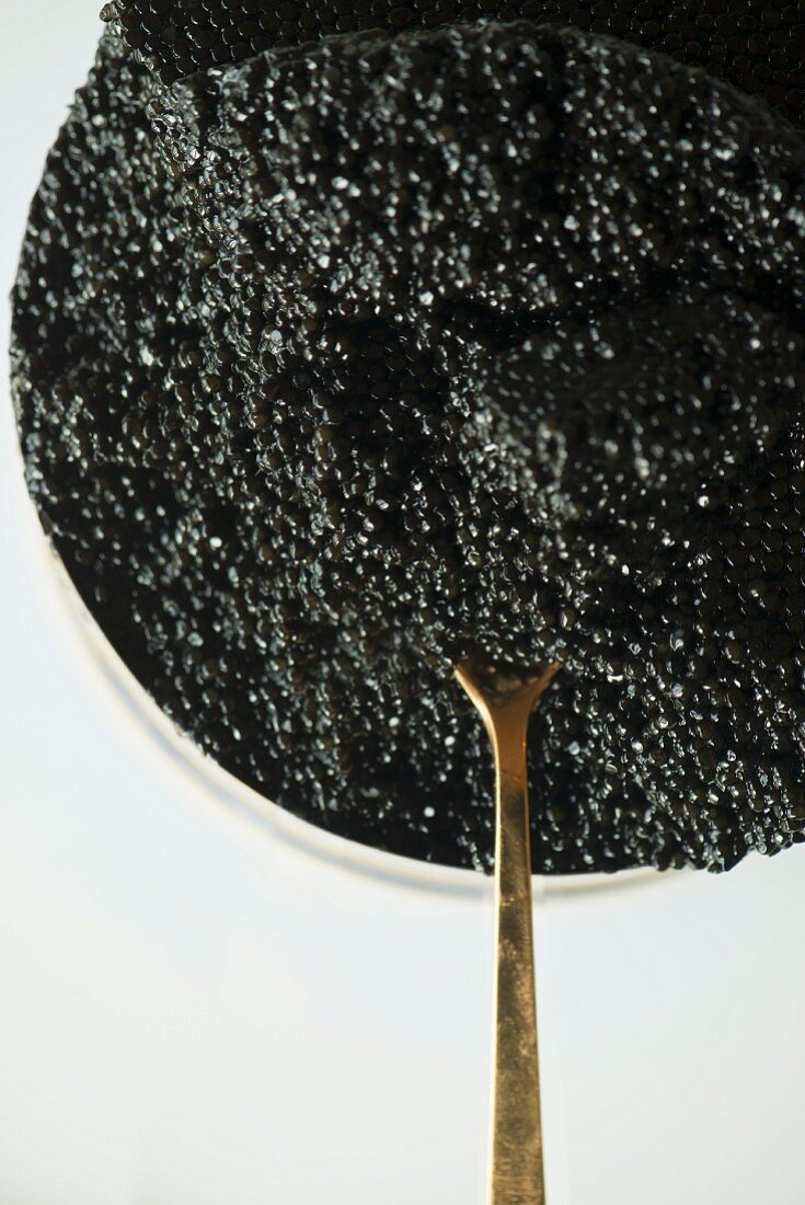 Schwarzer Kaviar in Dose mit Löffel