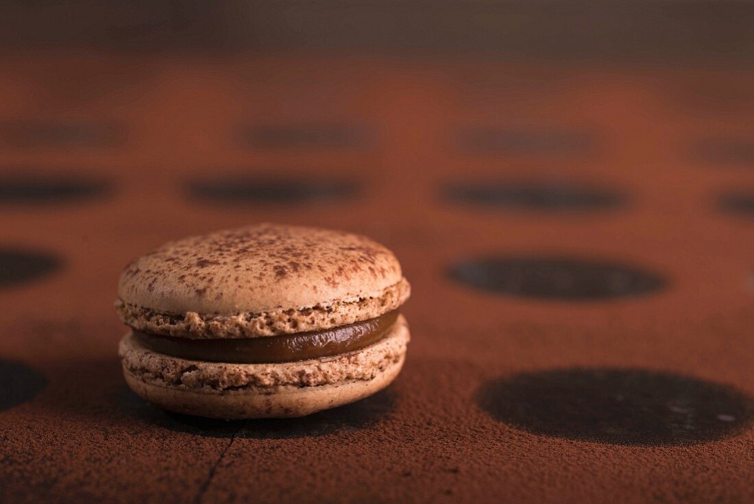 A chocolate macaroon