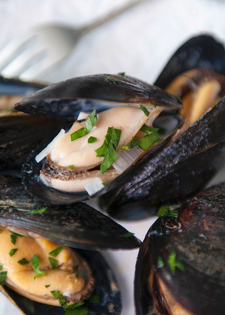 A close up of steamed mussels