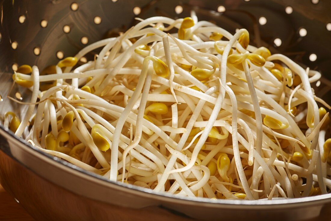 Fresh soybean sprouts in a colandar