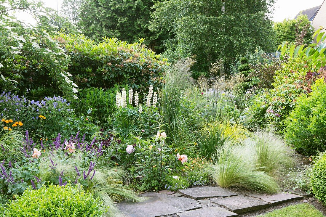 Flowering perennials and feather grass next to stone-flagged path in summery garden