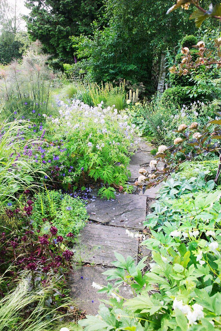 Stone-flagged garden path