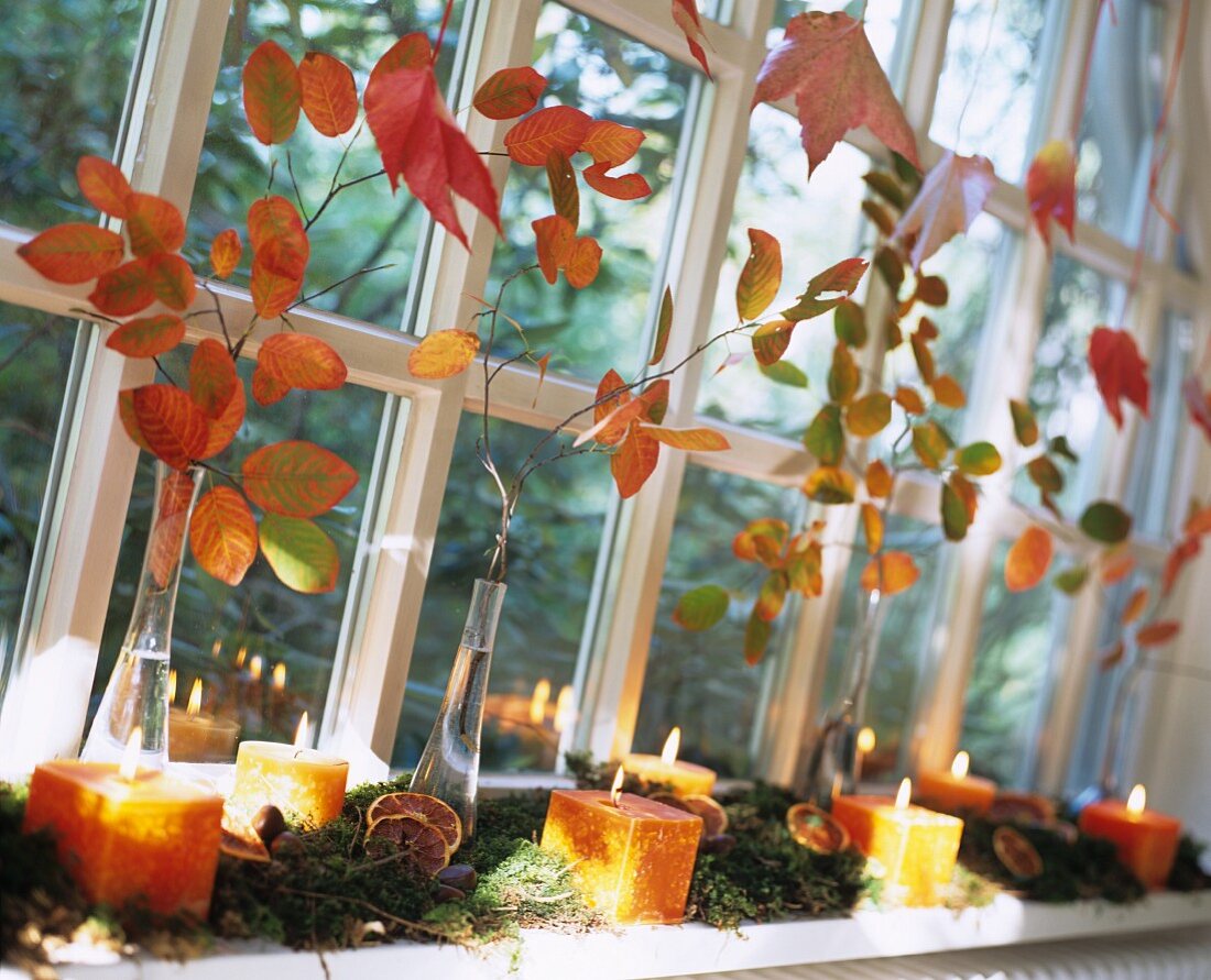 Autumnal arrangement of leafy branches, moss and candles on windowsill