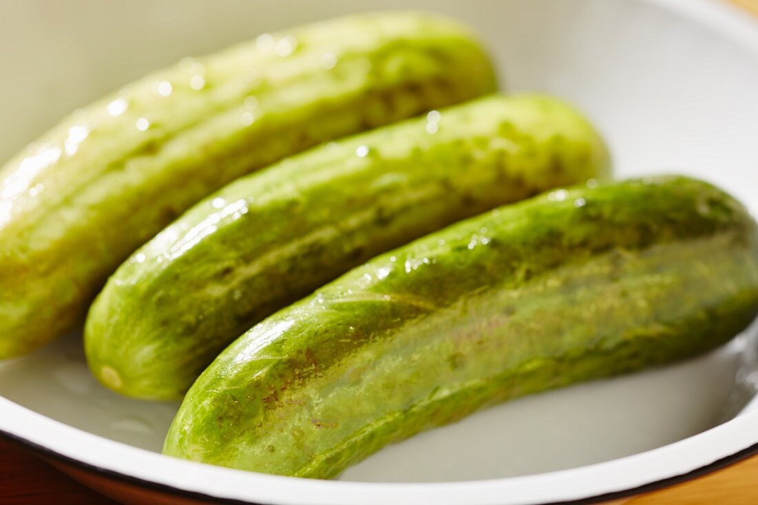 Three semi-pickled cucumbers (a traditional delicacy from New York City)