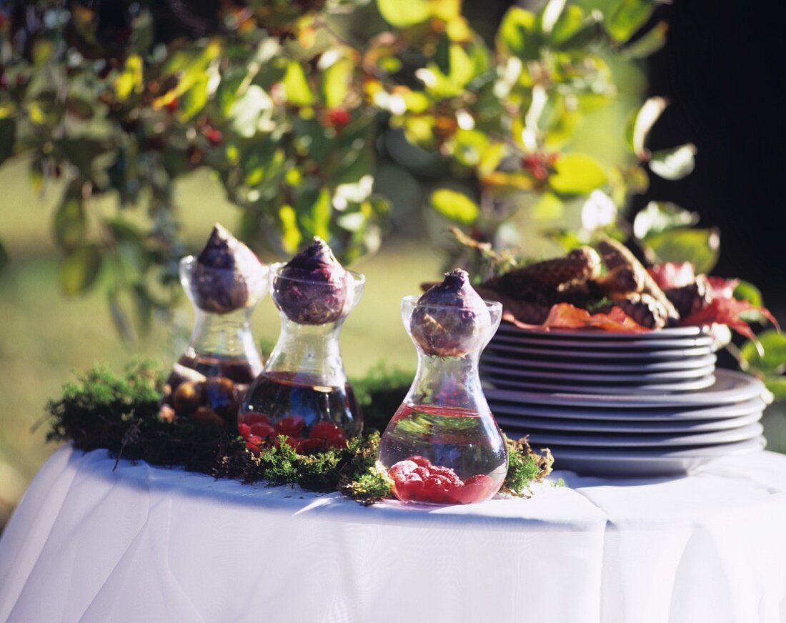 Plates and natural decorations on autumnal table outside