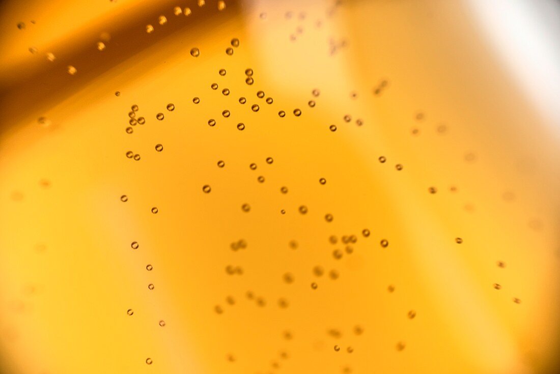 Bubbles in light beer