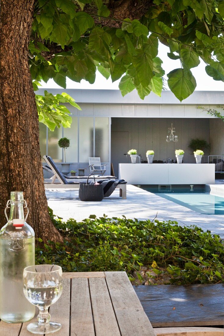Bottle and glass of water in front of tree, swimming pool and loungers