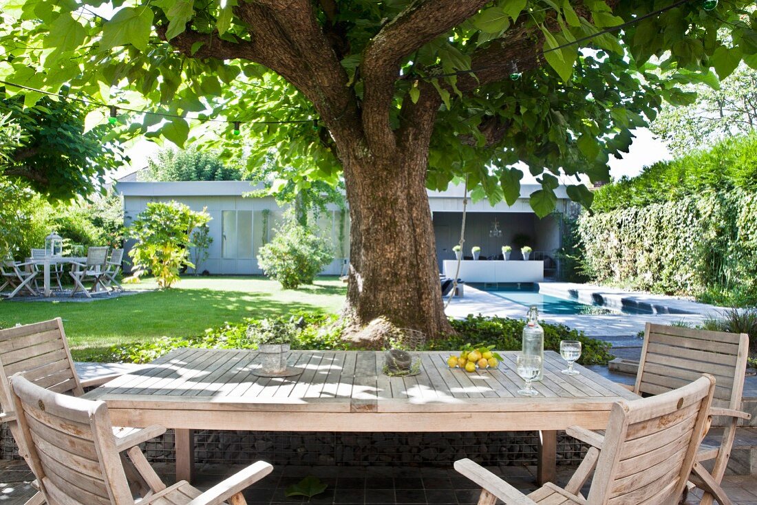 Seating area under tree in garden with view of pool and bungalow
