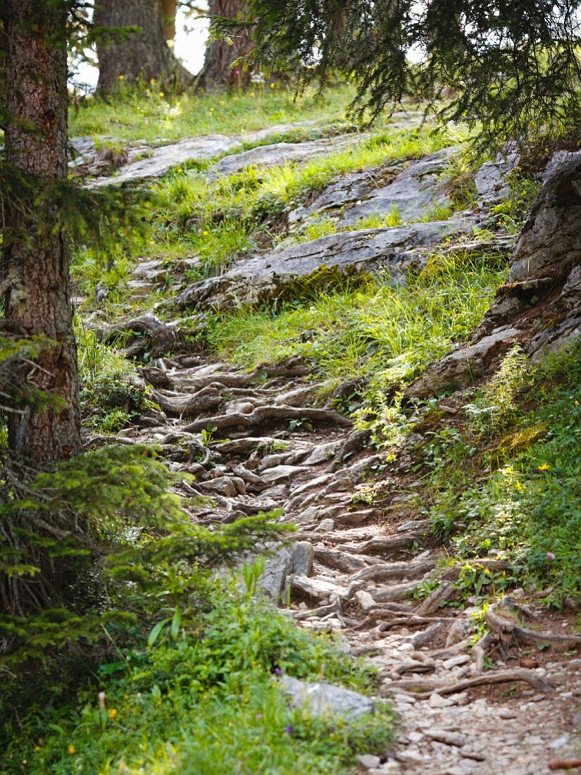 Wanderweg im Berner Oberland, Schweiz