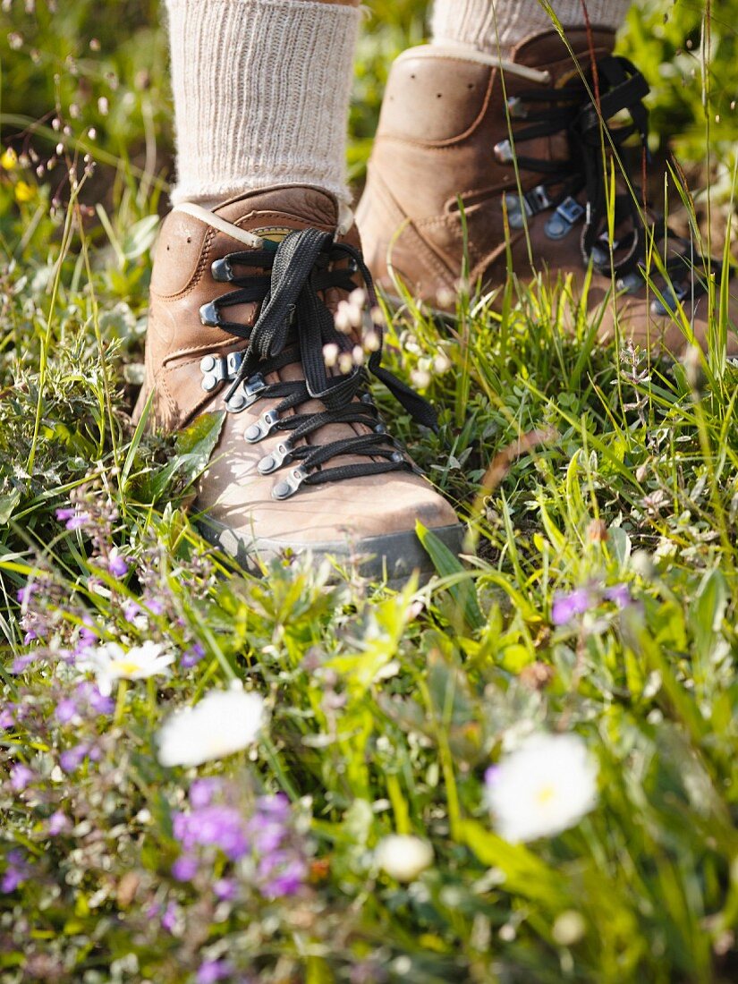 A hiker in the Bernese Oberland, Switzerland