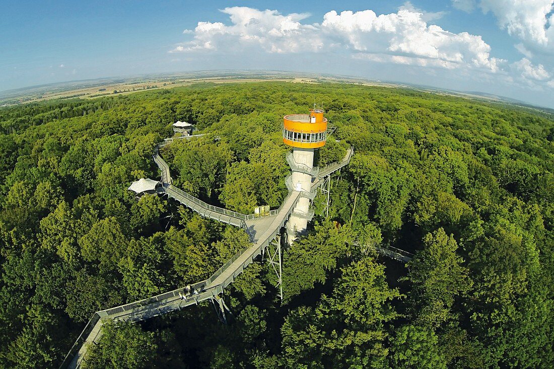 The treetop walkway in the Hainich National Park, Thuringia, Germany