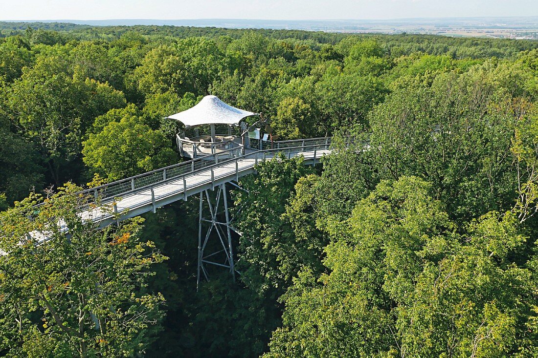 The treetop walkway in the Hainich National Park, Thuringia, Germany