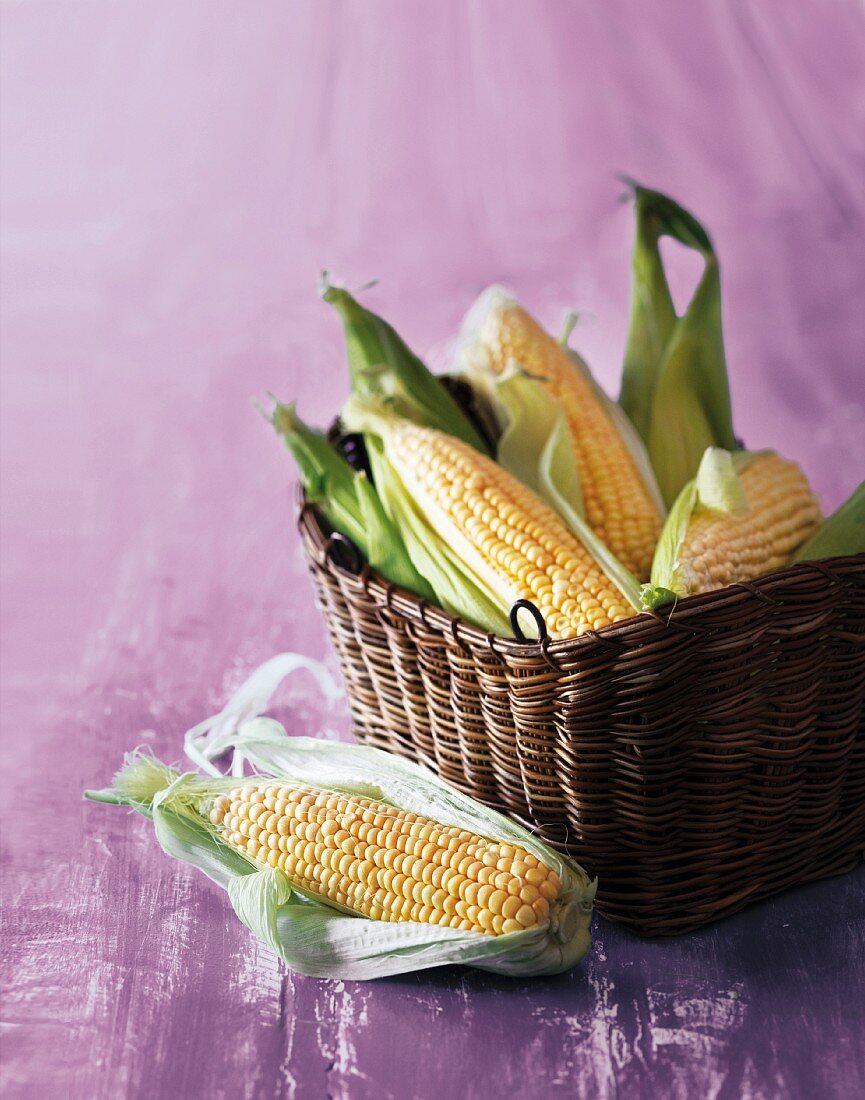 A basket of corn cobs