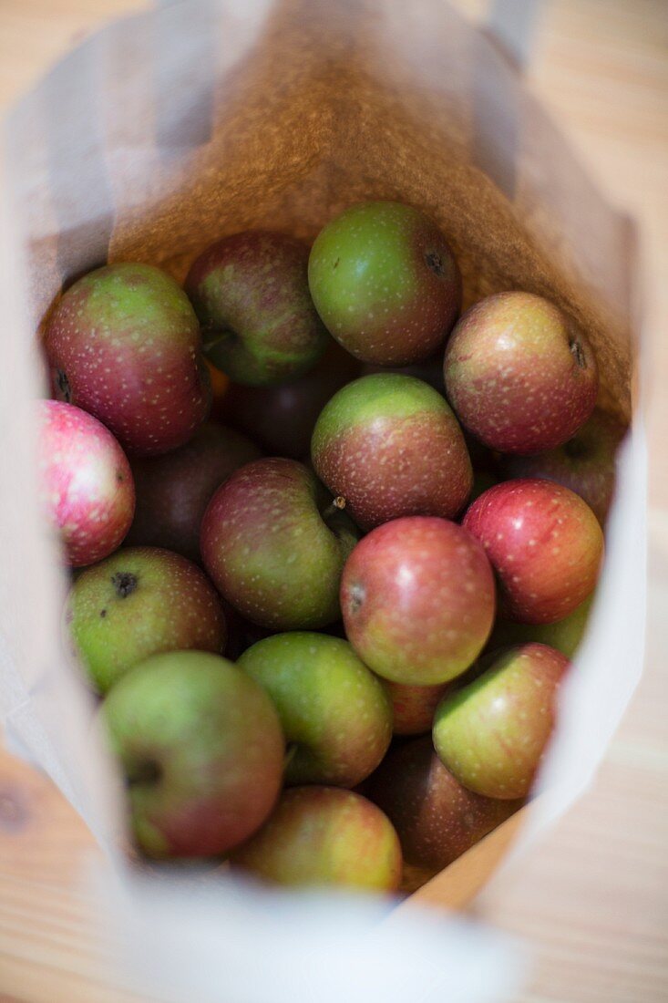 Äpfel im Tauschklub 'foodXchange' in der Markthalle IX, Berlin, Deutschland