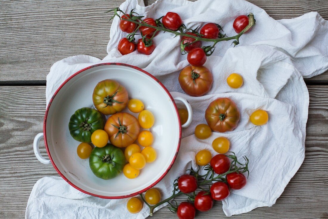 Bunte Tomaten in Emailleschüssel und auf weißem Tuch