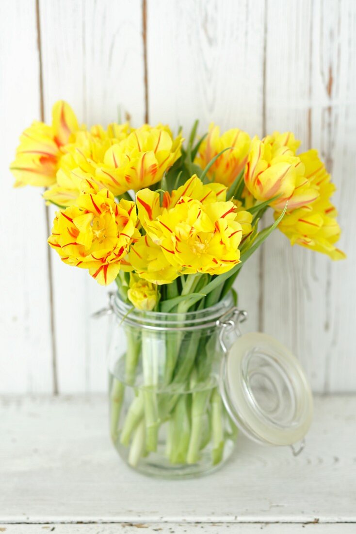 Yellow tulips in preserving jar