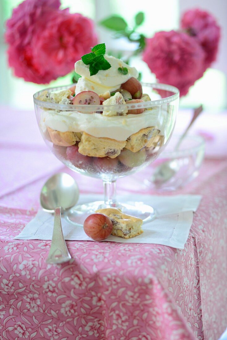 Trifle mit roten Stachelbeeren und selbst gebackenen Mandelkeksen