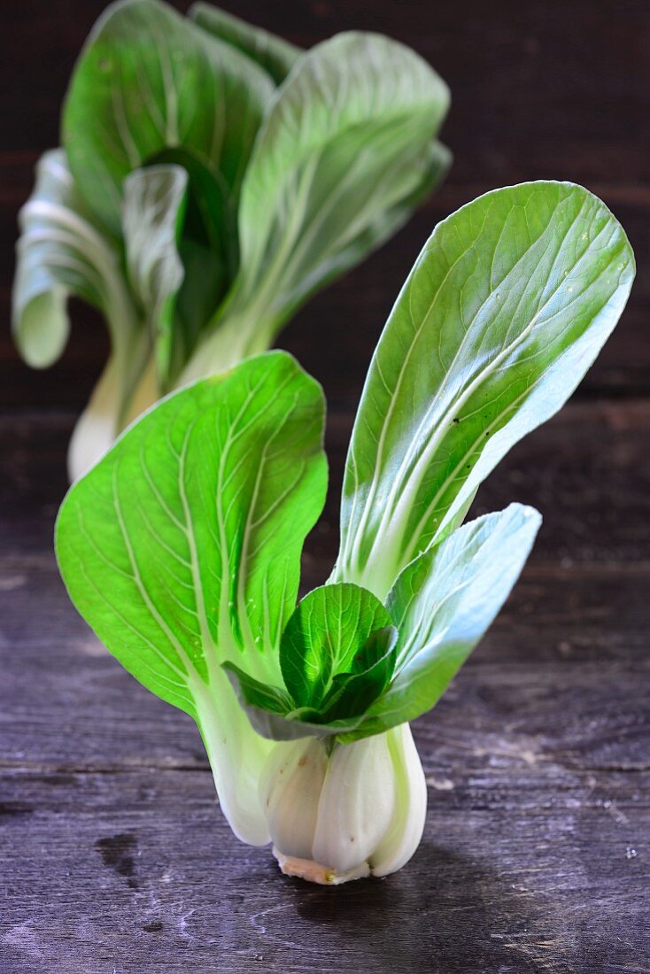 Frischer Pak Choi