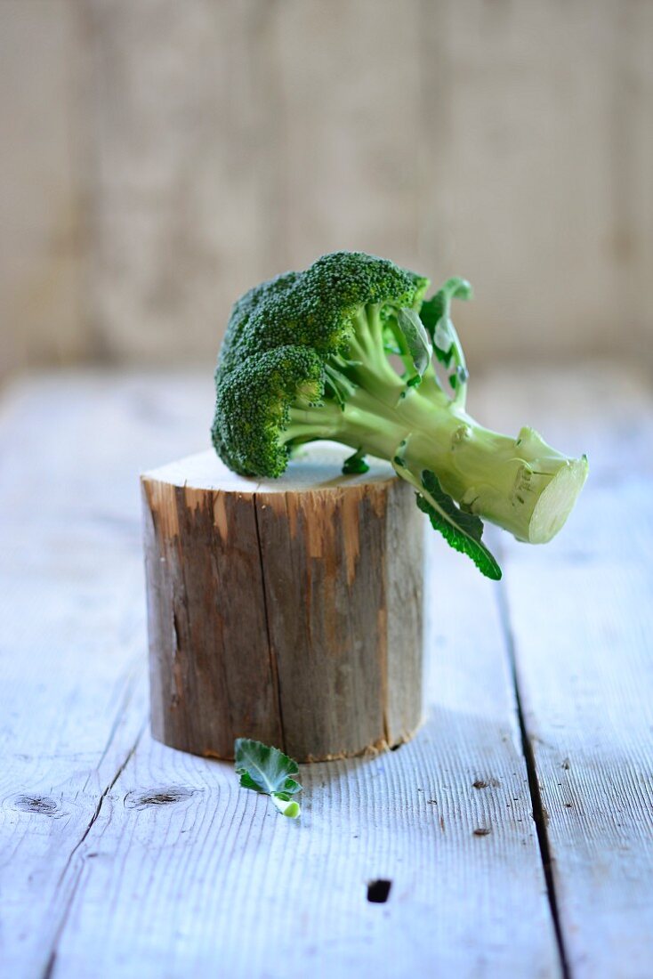 A broccoli floret on a piece of wood
