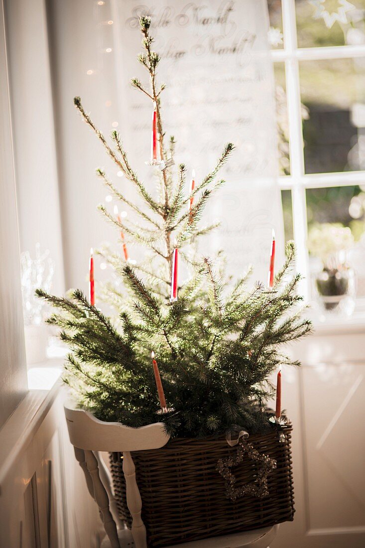 Christmas tree decorated simply with red candles in large basket on chair