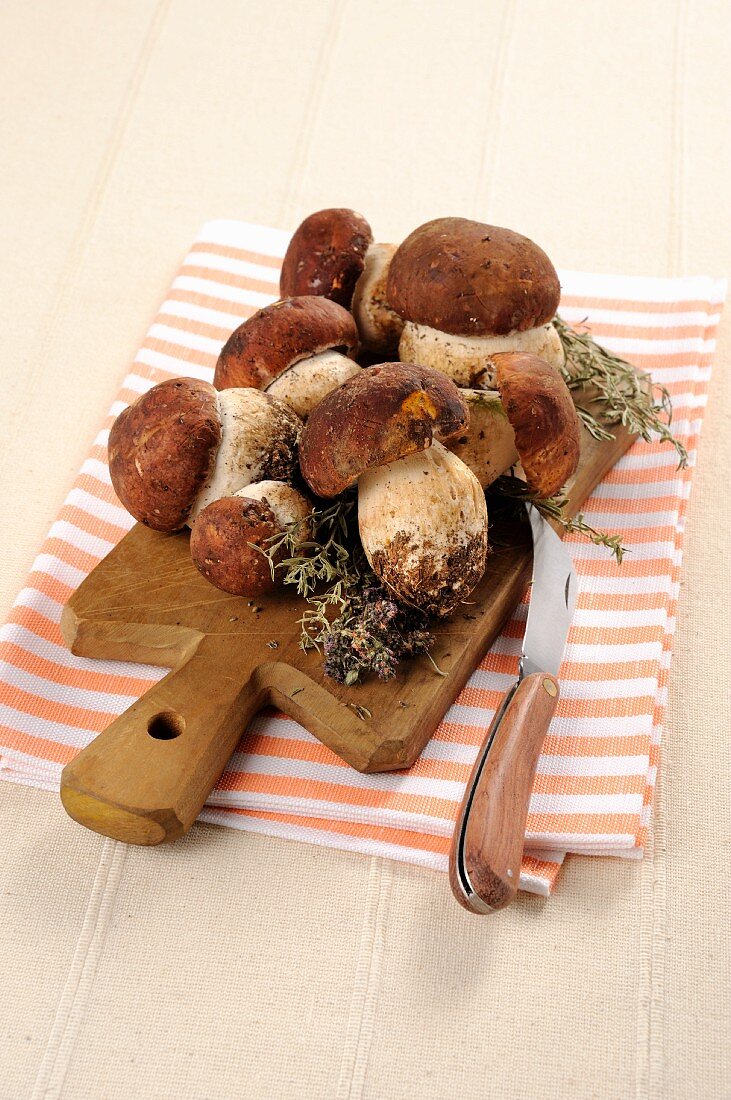 Fresh porcini mushrooms on a chopping board