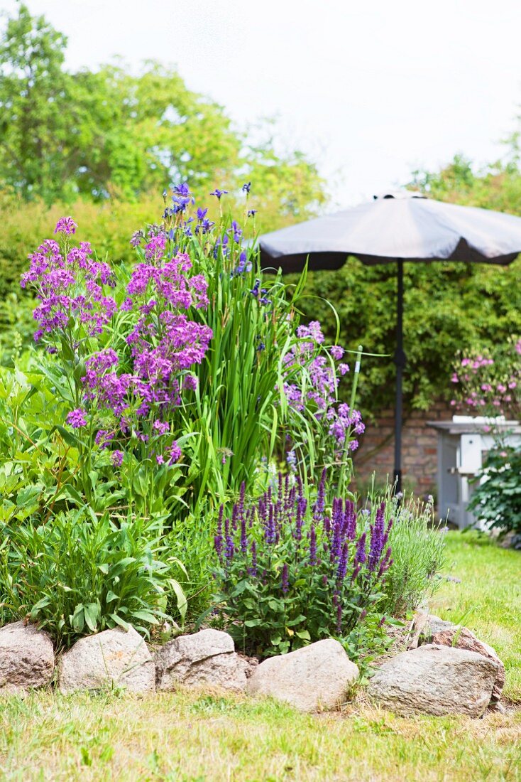 Purple-flowering plants in flowerbed edged with stones