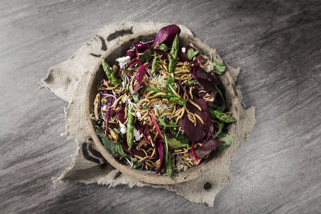 A mixed leaf salad with asparagus, goat's cheese and buffalo worms