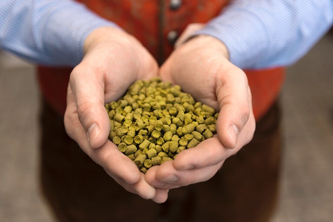 A handful of hops pellets