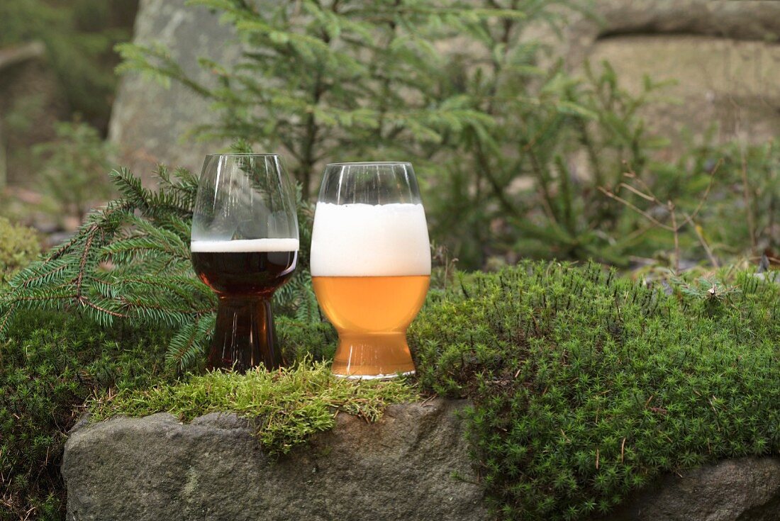 A glass of dark beer and a wheat beer in a forest