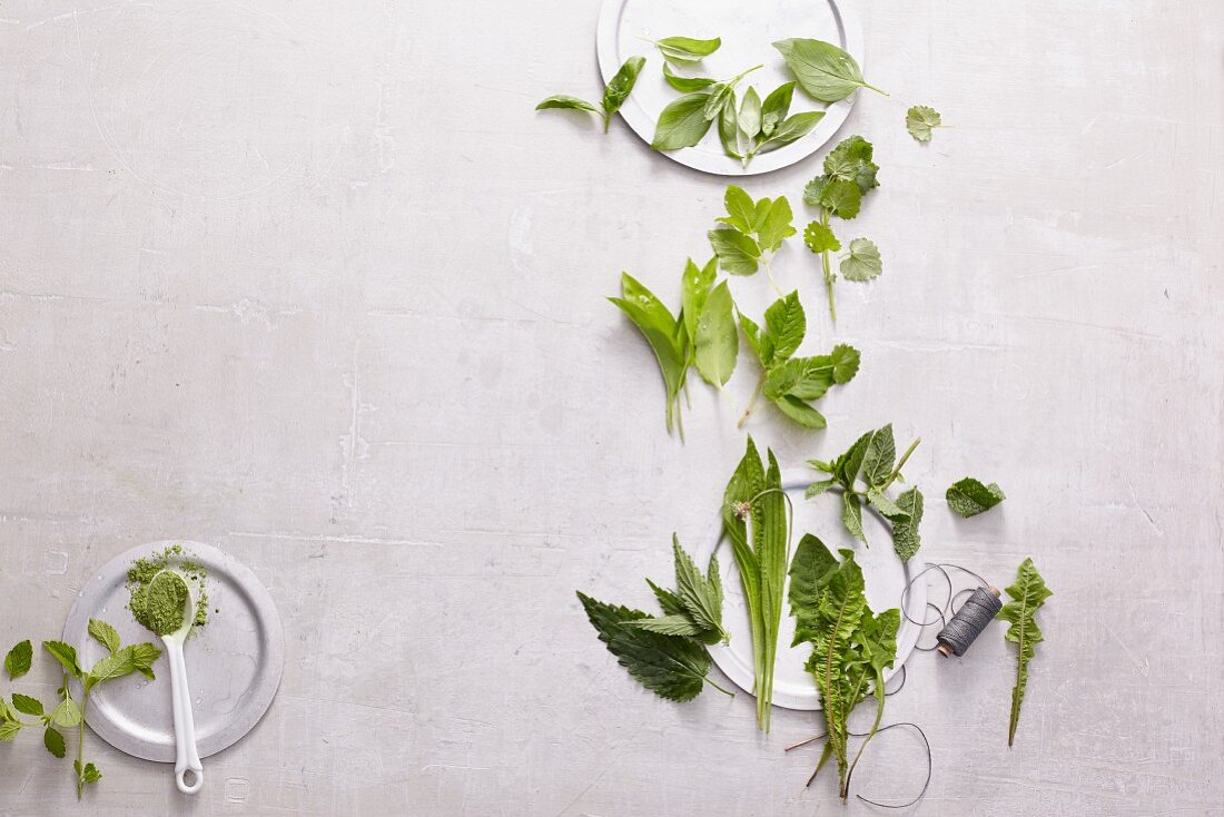 Various herbs on a white surface