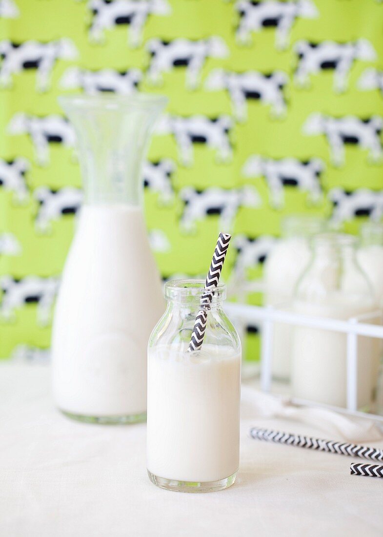 A small bottle of cows milk in front of a carafe of milk
