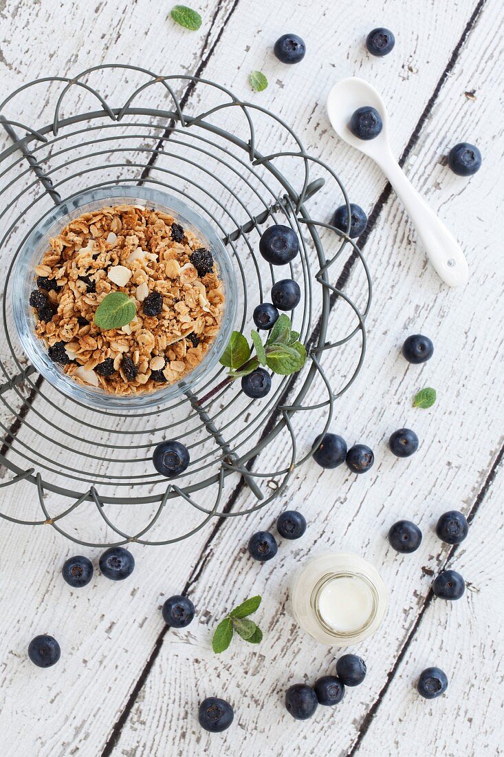 A bowl of blueberry muesli with fresh blueberries and mint