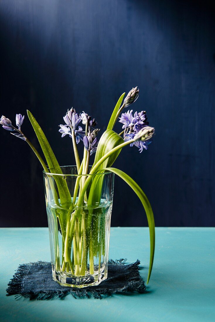 Bluebells (Waldhyazinthen) in Wasserglas