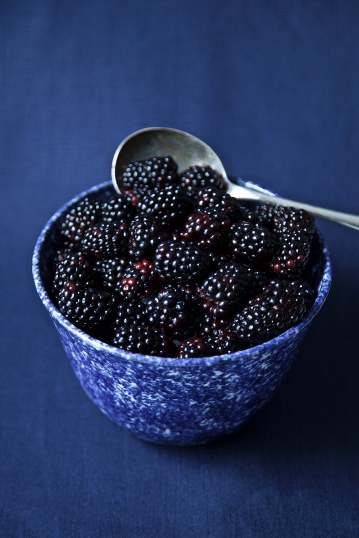 Blackberries in a blue ceramic bowl on a blue surface