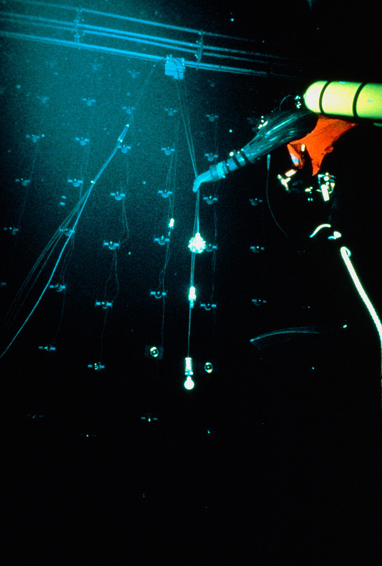 Diver inside IMB proton decay experiment tank