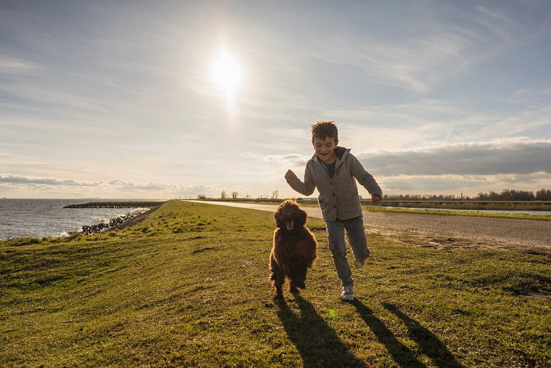 A little boy with a dog playing in a meadow