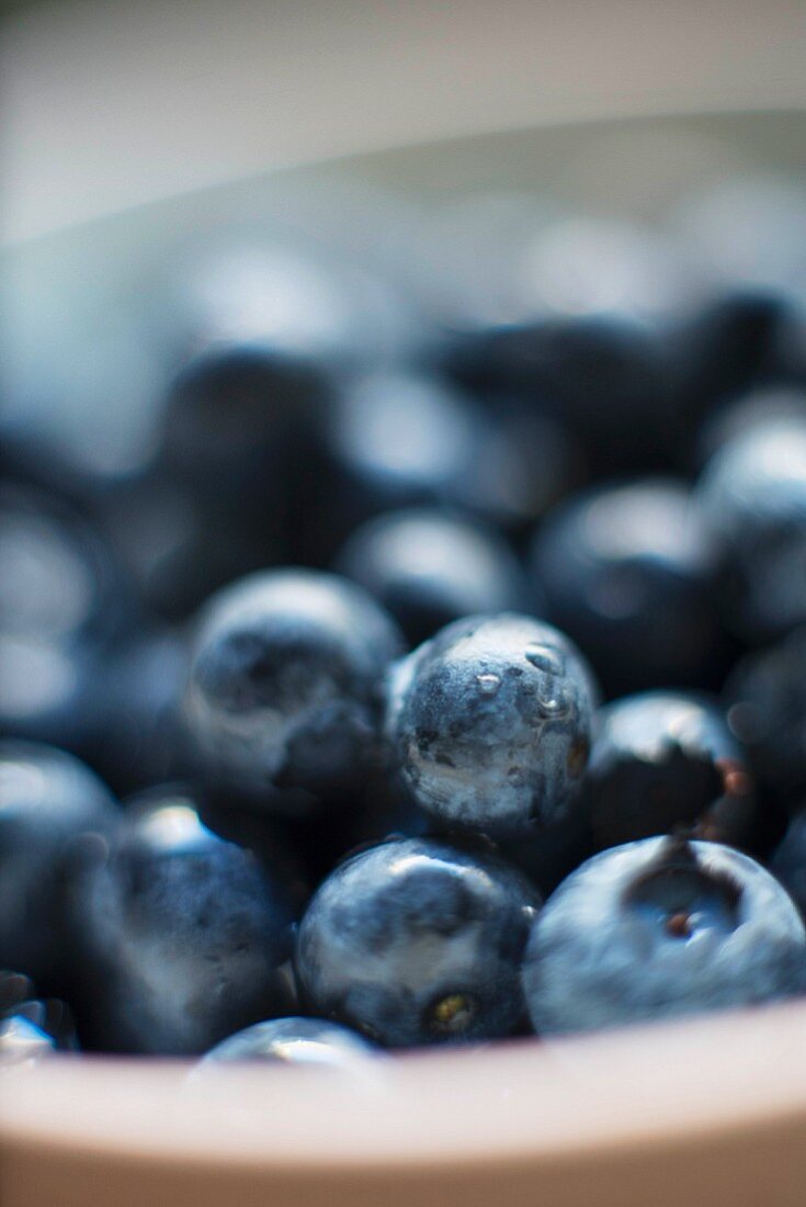 A close up of blueberries