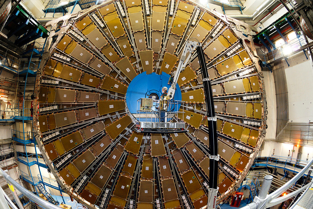 ATLAS detector muon spectrometer,CERN