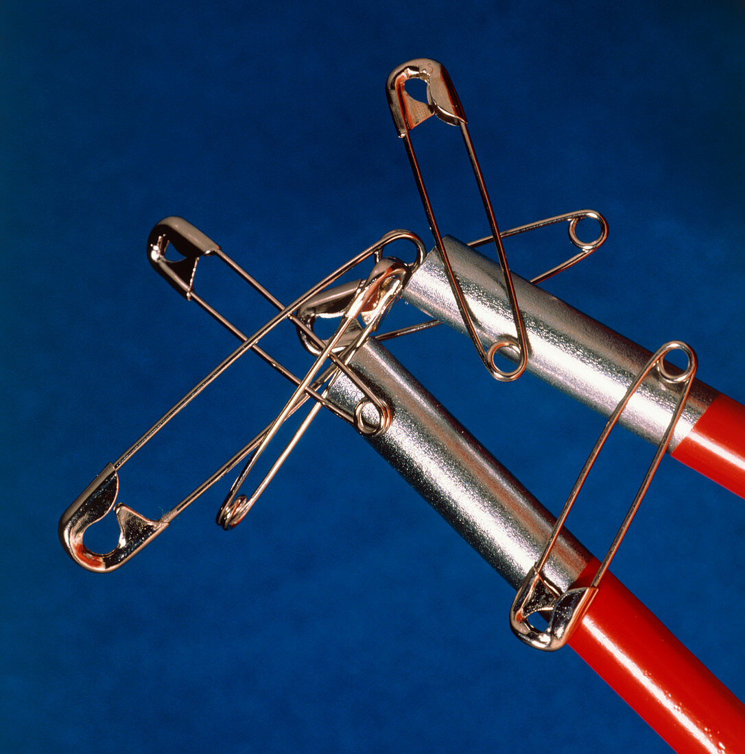 A horseshoe magnet holding safety-pins