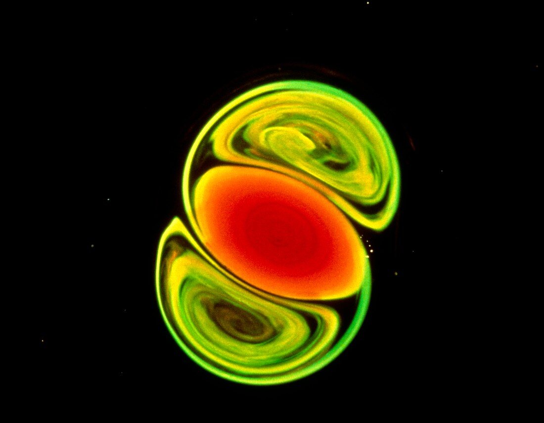 Tripolar vortex in cylonic fluid turbulence