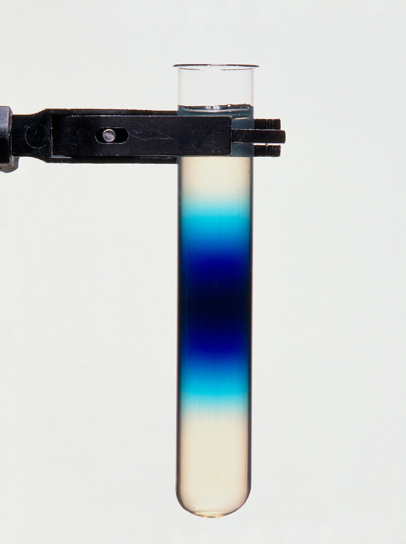 Diffusion of blue dye in an agar gel