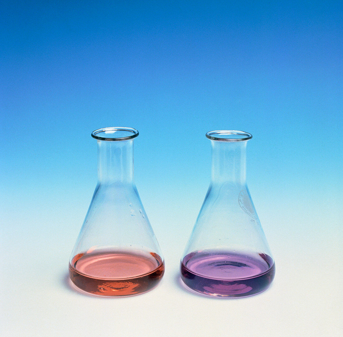 Litmus test in acid and alkali solutions