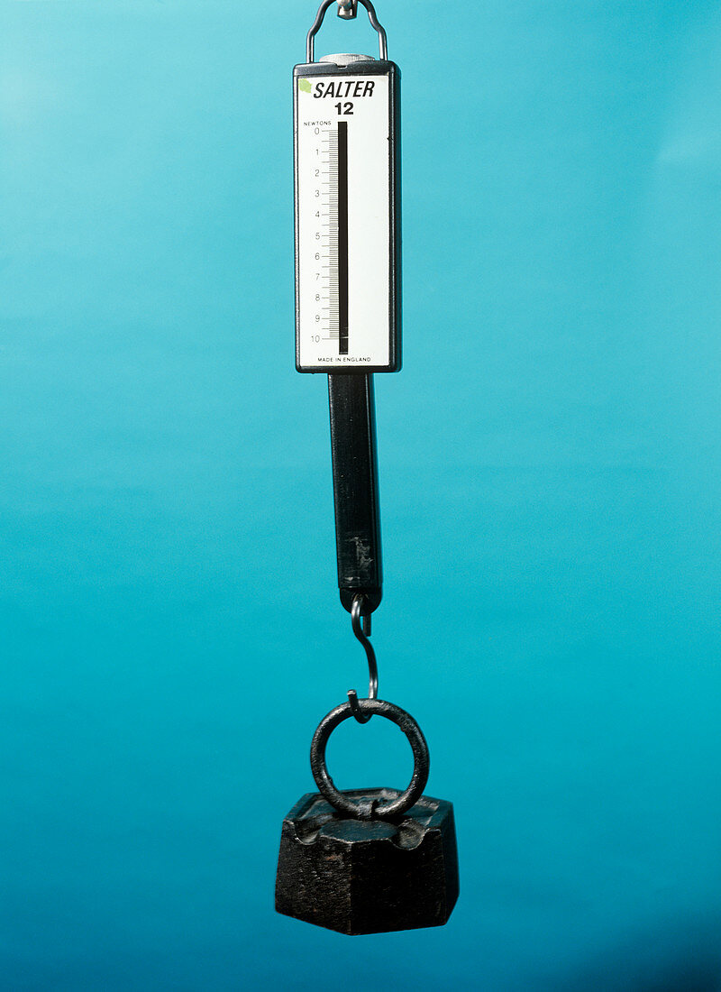 One kilogram mass on a newtonmeter