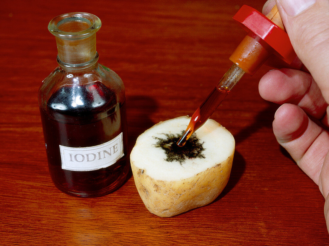 Iodine test for starch