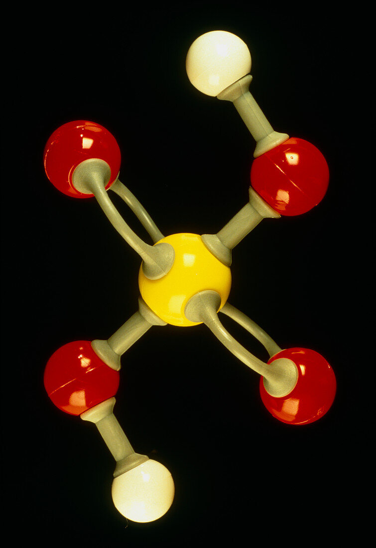 Model of molecule of sulphuric acid